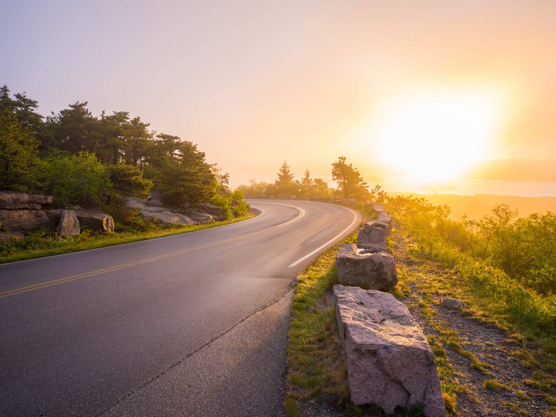 Educación ambiental en Metalesa